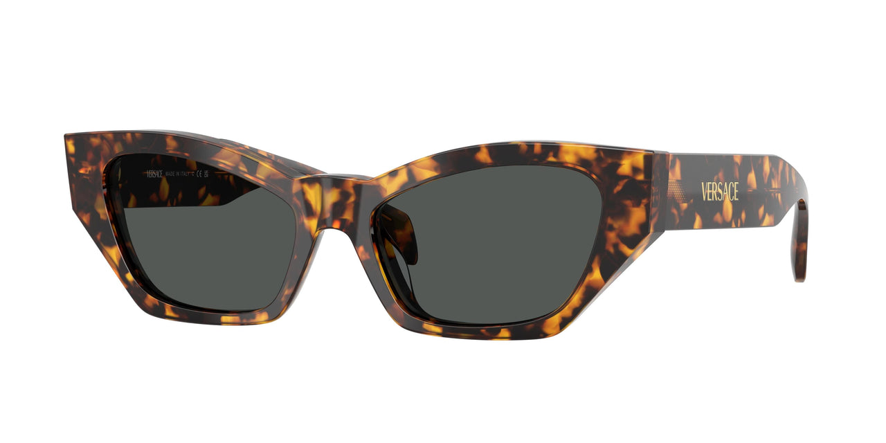 Versace 4488U Sunglasses