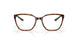 801302 - Tortoise