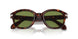 24/4E - Tortoise - Green