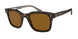 502633 - Havana - Brown