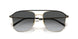 3013T3 - Gold - Gradient Grey Polarized