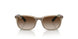 712313 - Light Brown - Brown Gradient