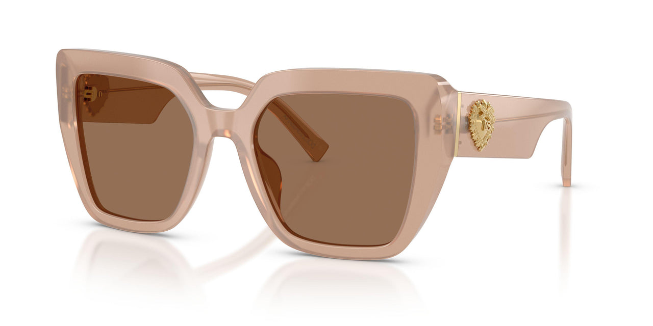 304273 - Brown - Dark Brown