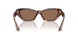 100773 - Tortoise - Brown