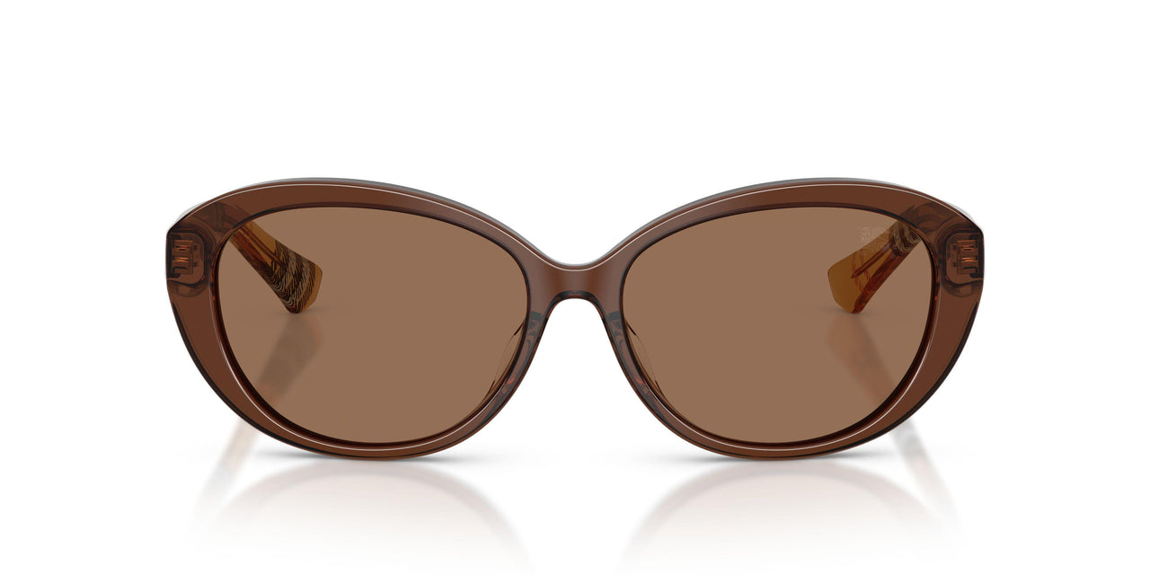 424373 - Brown - Dark Brown