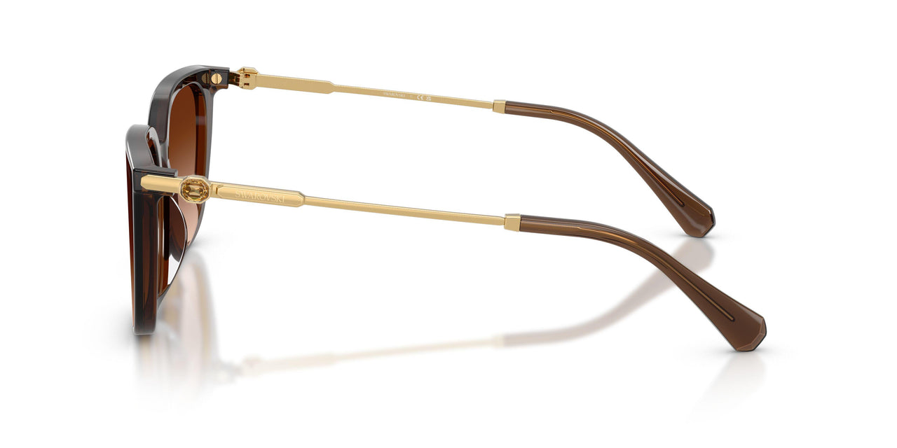 108474 - Brown - Gradient Brown