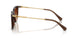 108474 - Brown - Gradient Brown