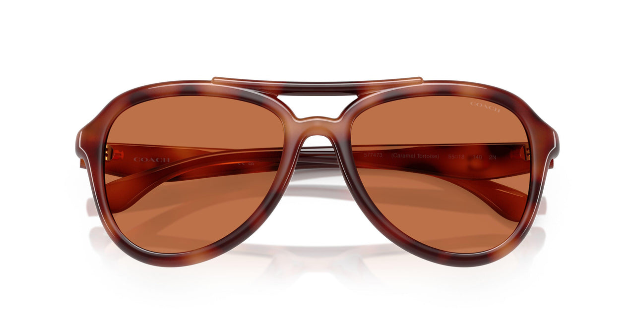 577473 - Tortoise - Brown Solid