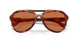 577473 - Tortoise - Brown Solid