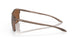604803 - Brown - Prizm Tungsten Polarized