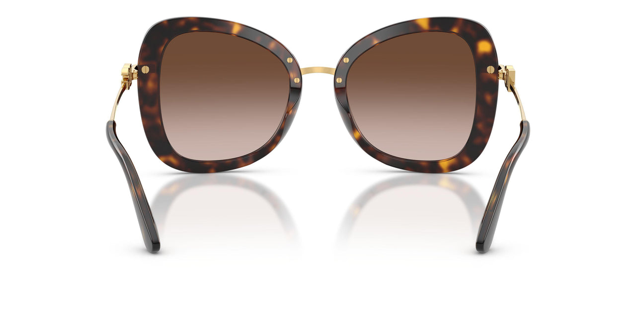 502/13 - Tortoise - Brown Gradient