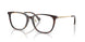 5026 - Tortoise