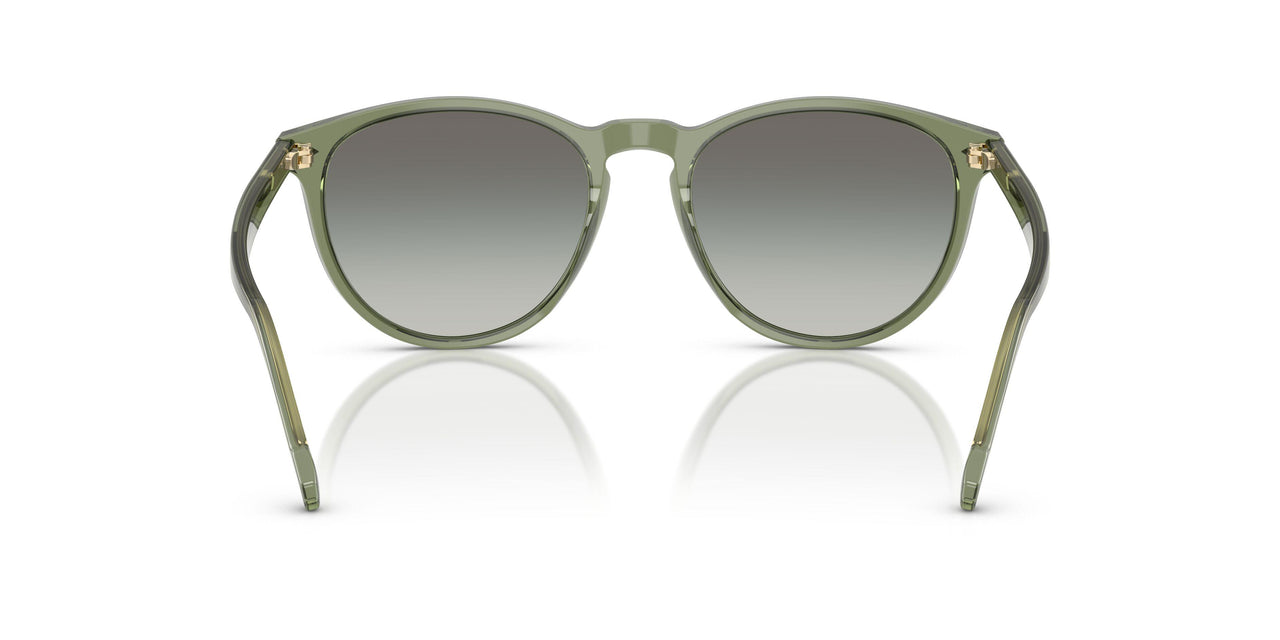 318711 - Green - Gradient Grey