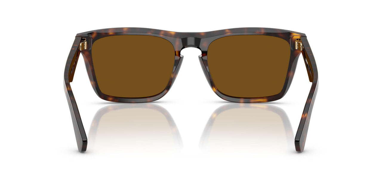 300283 - Brown - Dark Brown Polar