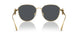 100287 - Gold - Dark Grey