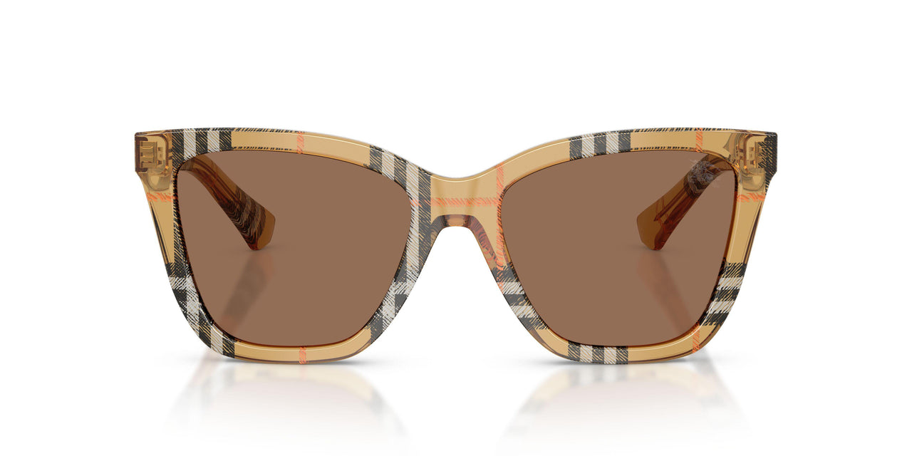416373 - Brown - Dark Brown
