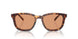 14O07V - Tortoise - Orange
