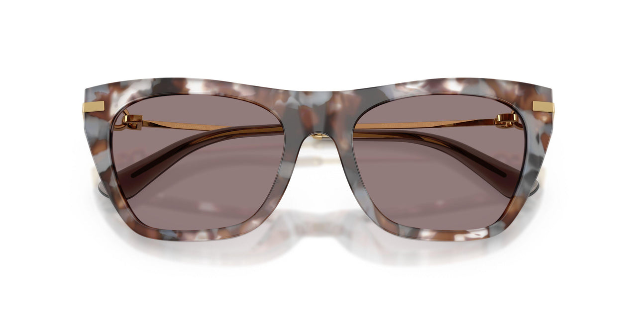 34457N - Tortoise - Dark Purple