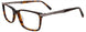 10 - Demi Amber & Steel