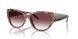 57398H - Tortoise - Purple Clear Gradient