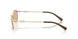 612173 - Gold - Brown