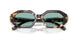 207282 - Tortoise - Petrol Green