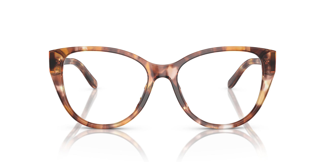 6093 - Tortoise