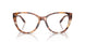 6093 - Tortoise