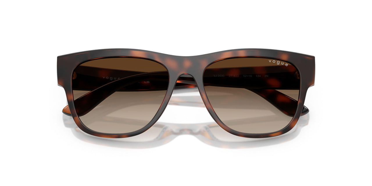 271813 - Brown - Gradient Brown