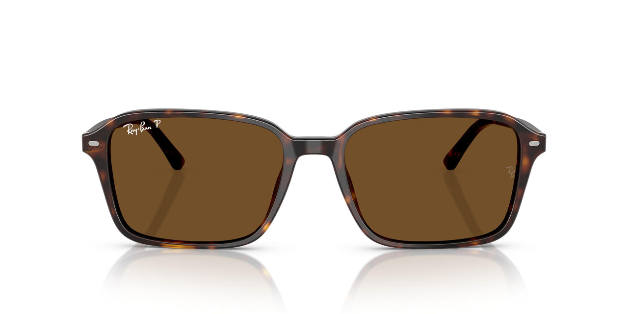 902/57 - Tortoise - B-15 Brown