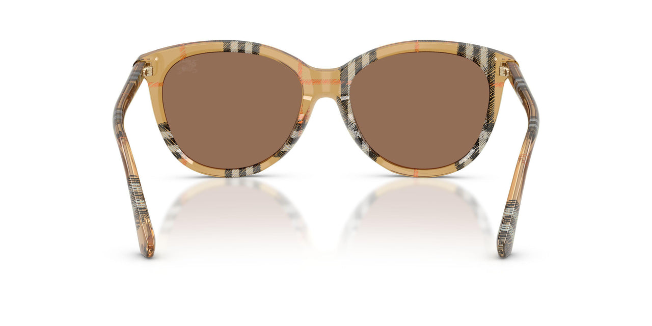 416373 - Brown - Dark Brown