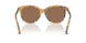 416373 - Brown - Dark Brown