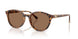 Swarovski 6075D Sunglasses