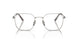 1002 - Silver - Clear