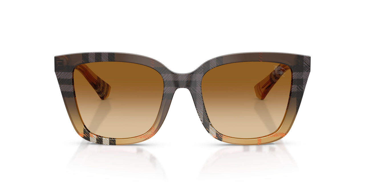 420213 - Brown - Brown Gradient