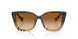 420213 - Brown - Brown Gradient