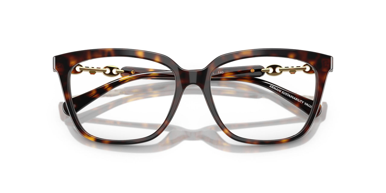 5026 - Tortoise