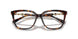 5026 - Tortoise