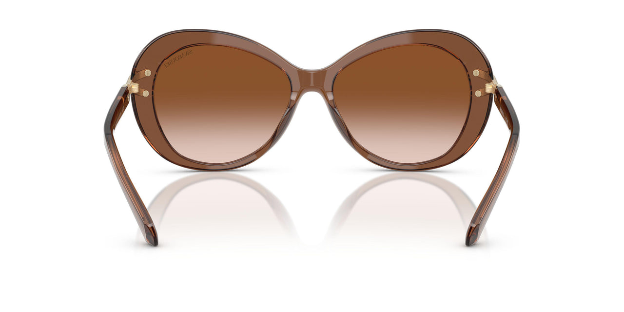 106713 - Brown - Gradient Brown