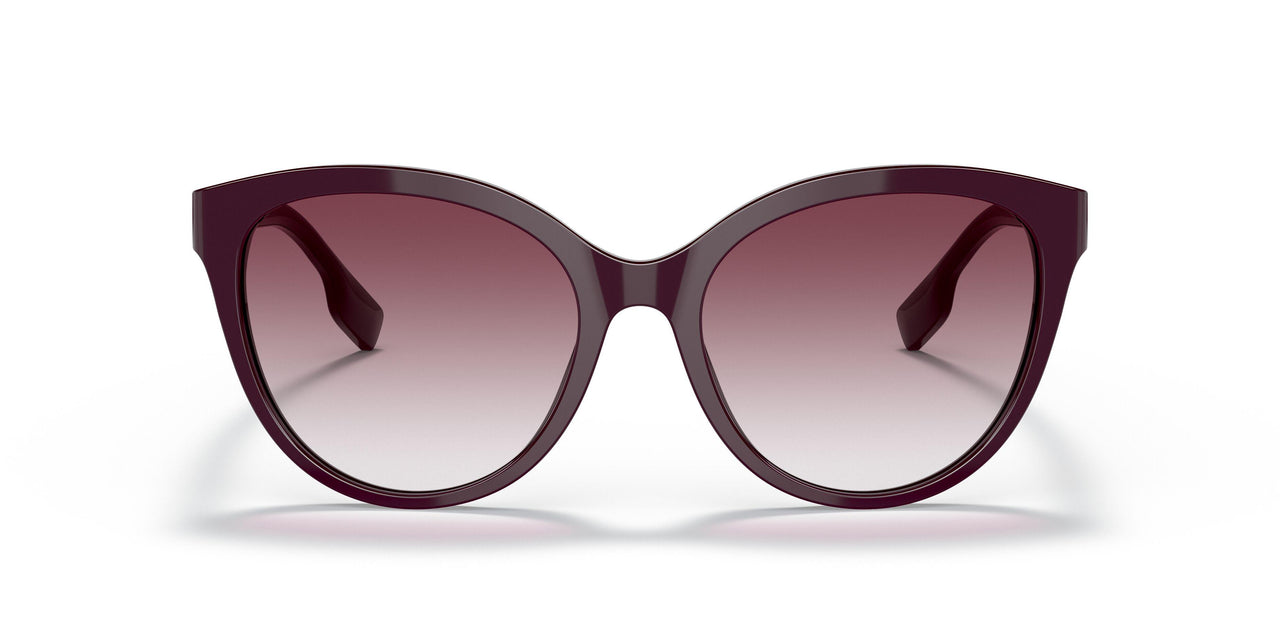 39798H - Bordeaux - Gradient Violet