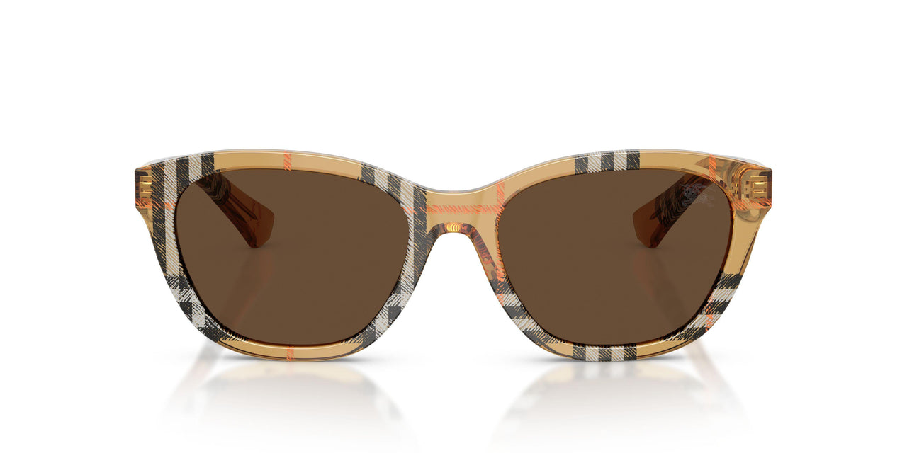 416373 - Brown - Dark Brown