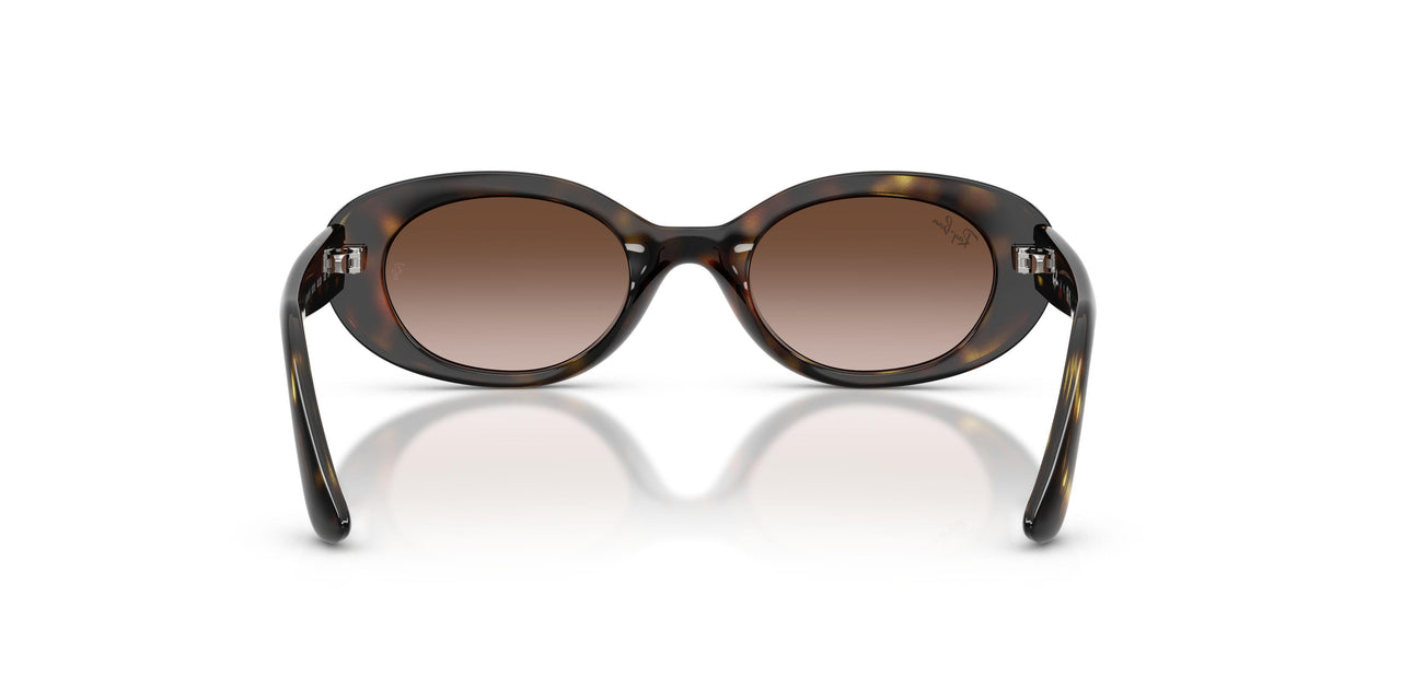 152/13 - Tortoise - Gradient Brown
