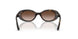 152/13 - Tortoise - Gradient Brown