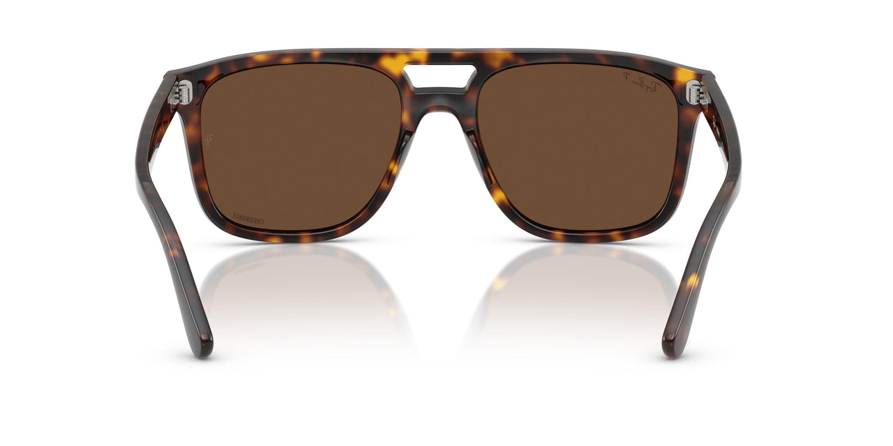 902/AN - Tortoise - Polar Brown