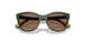 320873 - Green - Dark Brown