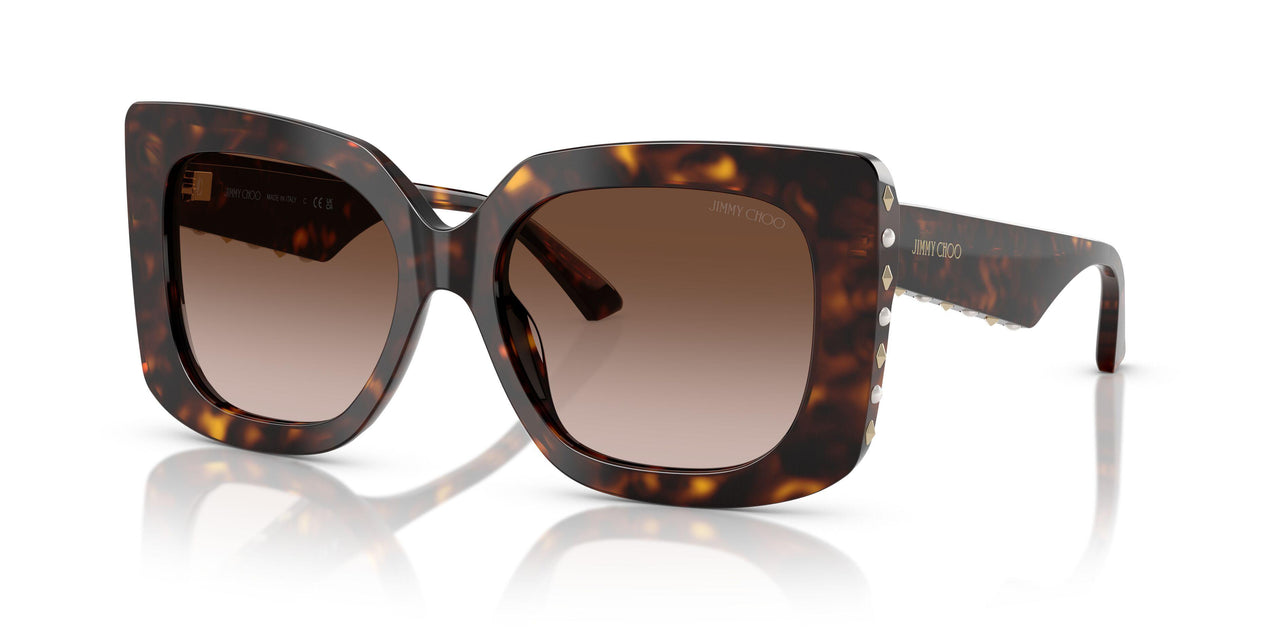 500213 - Tortoise - Gradient Brown
