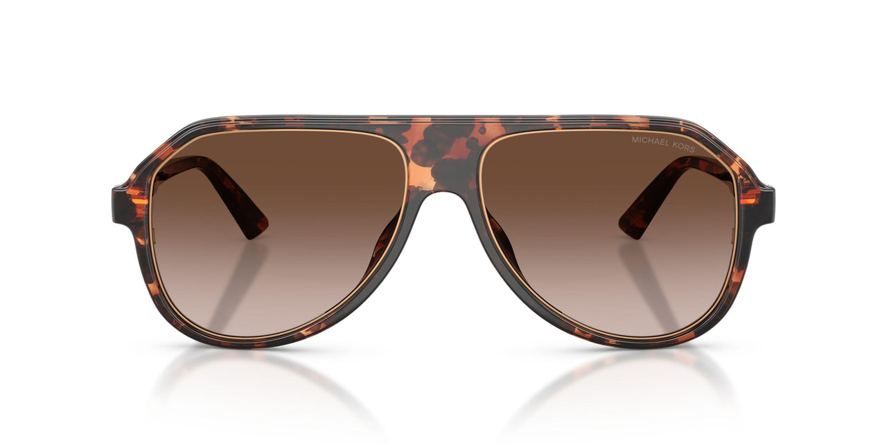 300613 - Tortoise - Smoke Gradient