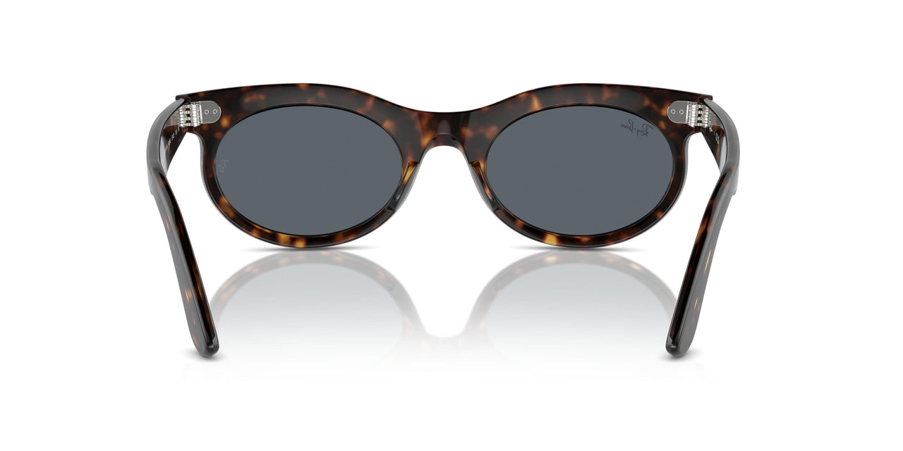 902/R5 - Tortoise - Blue