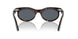 902/R5 - Tortoise - Blue