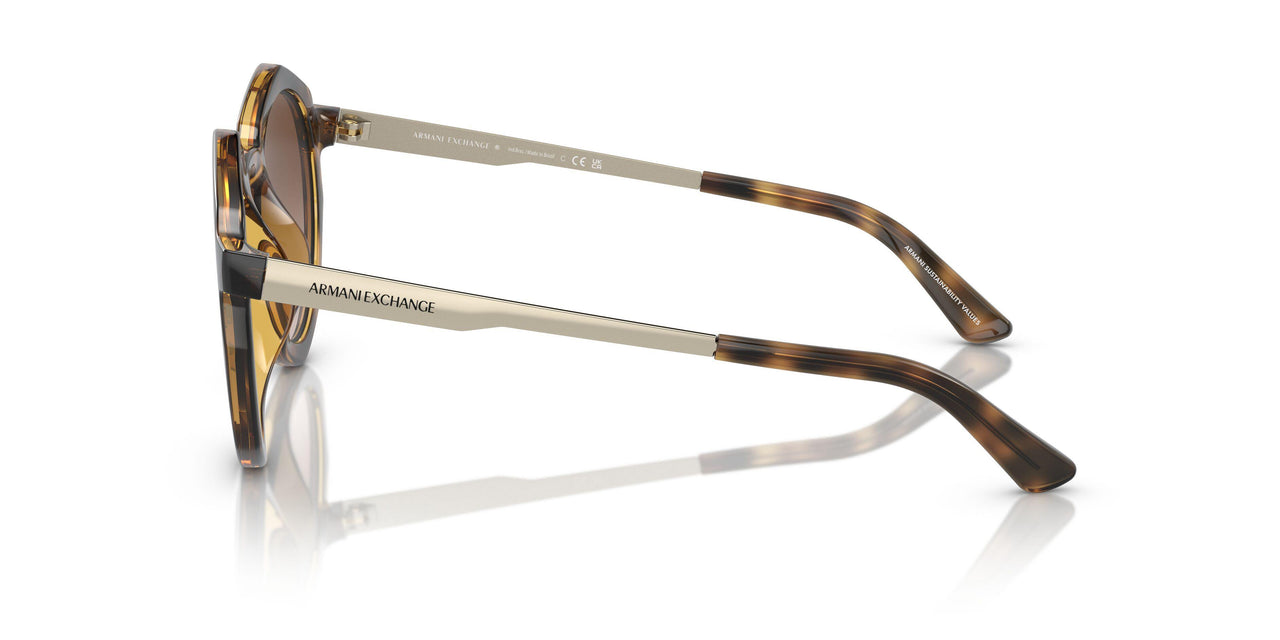 821313 - Tortoise - Gradient Brown